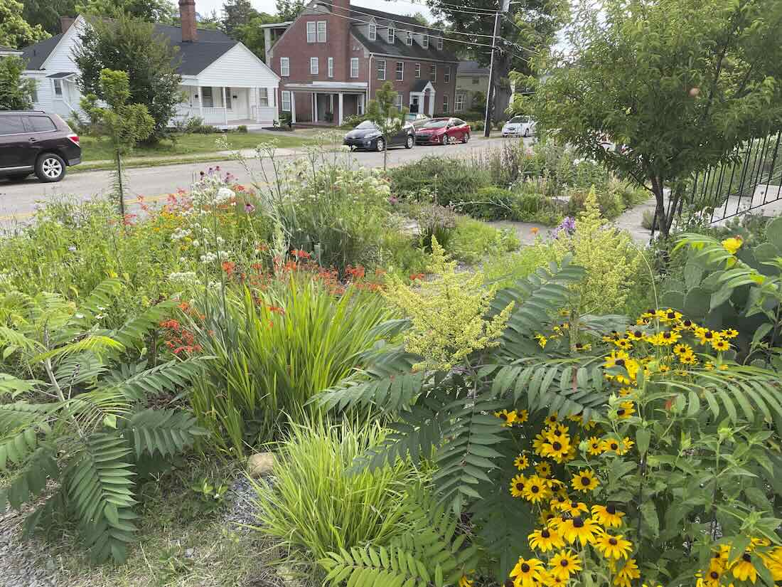 naturalistic gardens: design and care, with preston montague