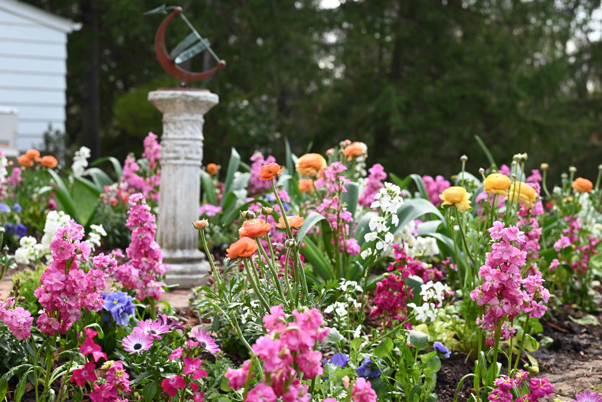 6 Gardening Traits That Will Be in Full Bloom in 2025, Gardeners Say