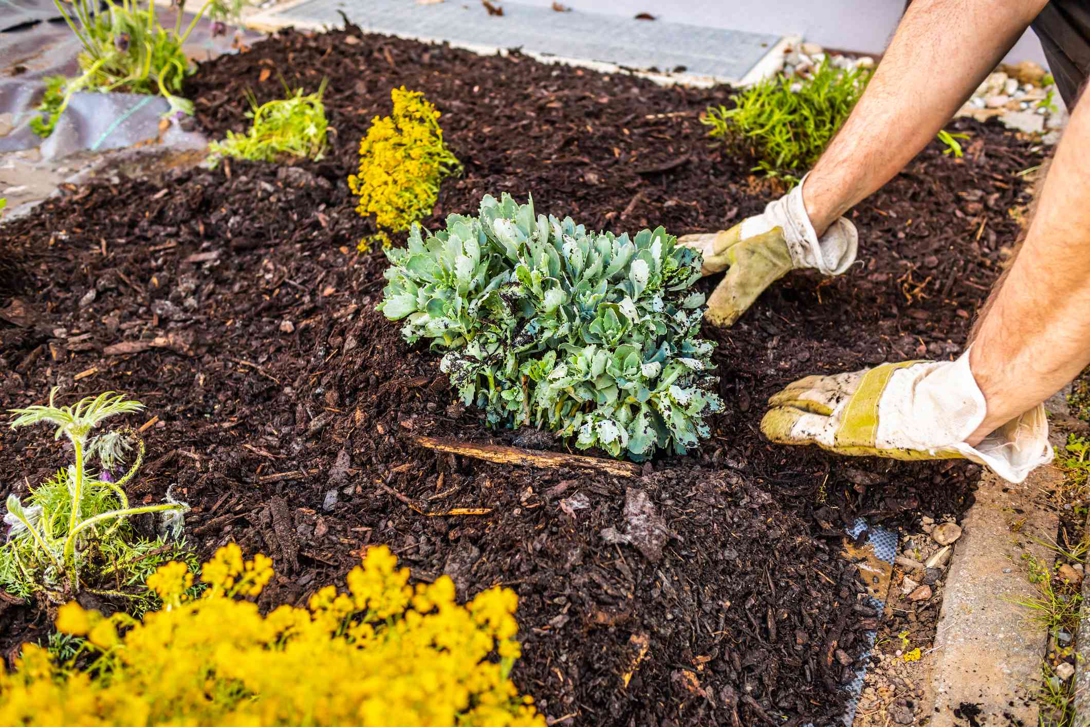 How Rather a lot Does a Yard of Mulch Really Worth?