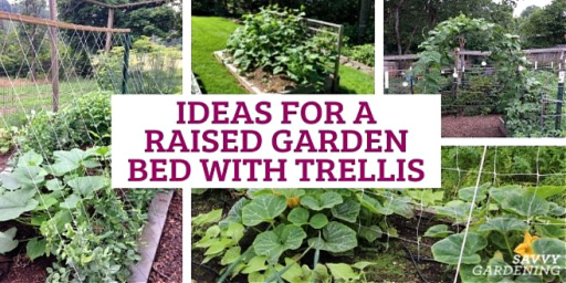 Easy Ideas for the Vegetable Yard