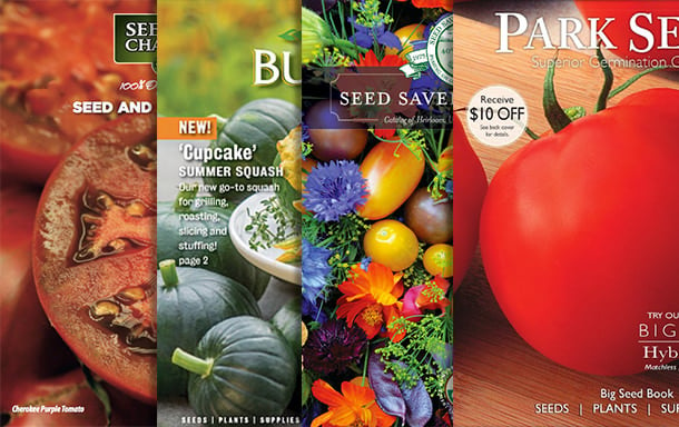 Prime 10 Seed Catalogs for 2025