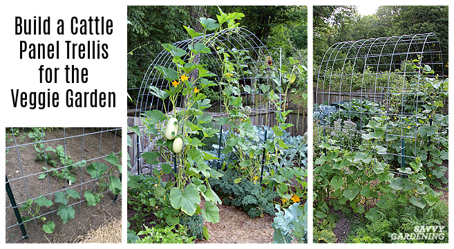 Tips about the right way to Assemble a DIY Vegetable Yard Arch