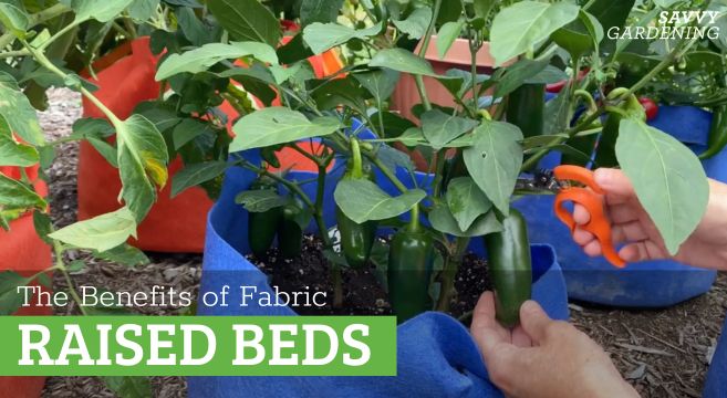 The Benefits of Rising in Material Raised Beds