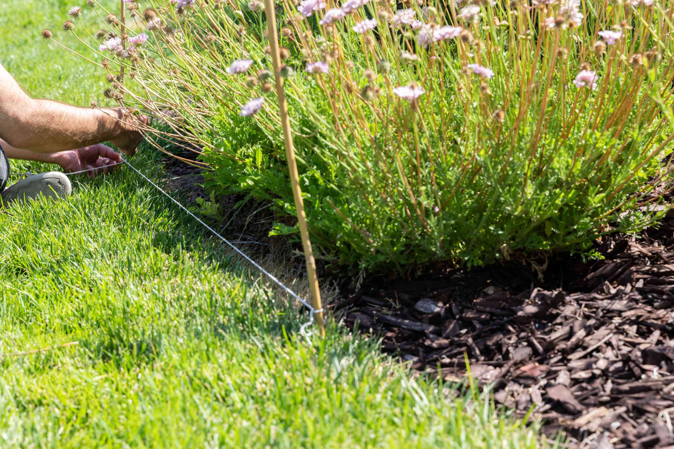 How one can Edge a Yard Mattress Like a Skilled in 4 Steps