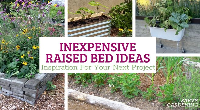 Low cost Raised Yard Mattress Ideas: DIY Inspiration