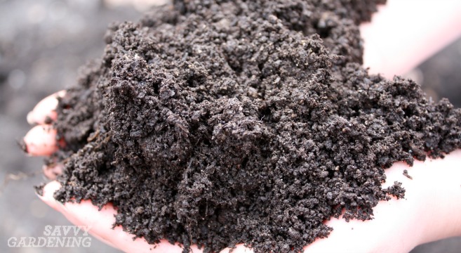 Soil pH and why it points