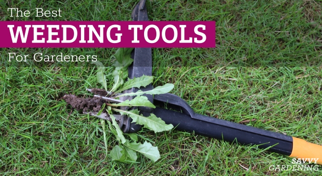 Weeding Devices for Gardeners: 10 Prime Choices